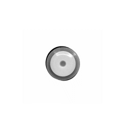 C1023 - Trim / Moulding Clip Mazda